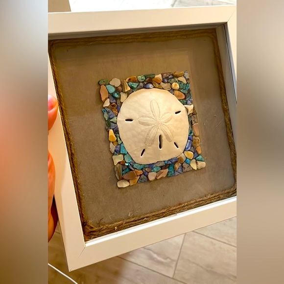 Unique Sand Dollar & Seashell Fragments Shadowbox. - Picture 4 of 4